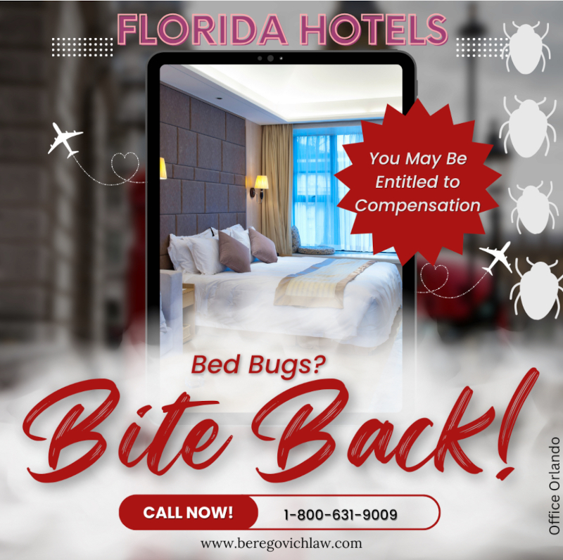 Florida Hotels Bed Bugs